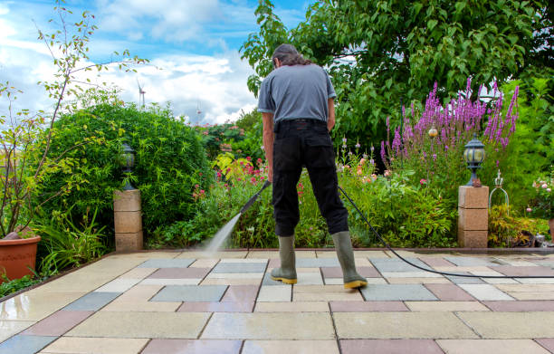 Best Roof Washing  in Roseburg Nth, OR